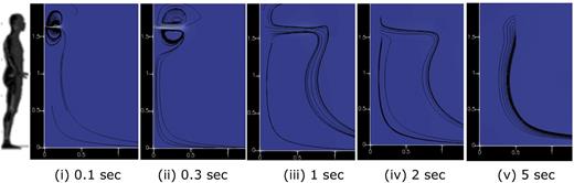 FIG. 3. Air velocity in the longitudinal direction from a single cough with streamlines.