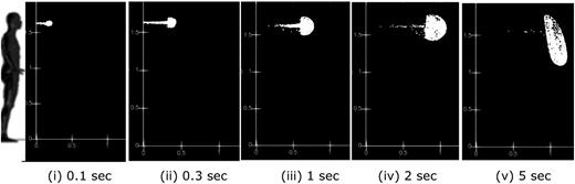 FIG. 4. Saliva aerosol transports due to continuous coughing and breathing. Multimedia view: https://doi.org/10.1063/5.0042952.2