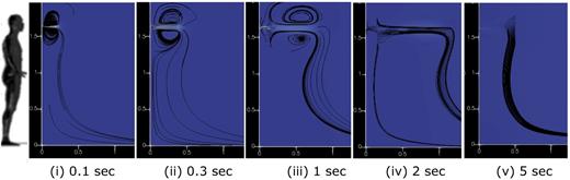 FIG. 5. Air velocity in the longitudinal direction for continuous coughing and breathing with streamlines.