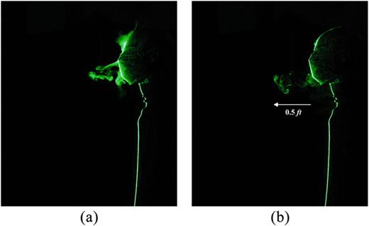 FIG. 15. Leakage of respiratory jets from a two-layered cotton mask at (a) t = 2 s and (b) t = 4 s during breathing for E:I = 1:2.