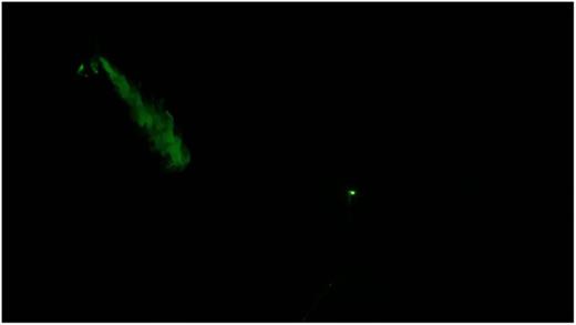FIG. 4. Snapshot of the jet for E:I = 1:1. Multimedia view: https://doi.org/10.1063/5.0045582.1