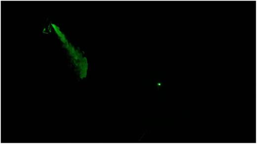 FIG. 6. Snapshot of the jet for E:I = 1:2. Multimedia view: https://doi.org/10.1063/5.0045582.2