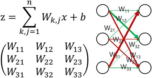 FIG. 4. Magnitude of the weights represented by the thickness of arrows.