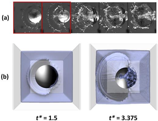 FIG. 12. Comparison between experimental results and numerical study. (a) A series of snapshots of experimental study. Reproduced from Truscott, T. T. and Techet, A. H., Phys. Fluids 21(12), 121703 (2009) with the permission of AIP Publishing. (b) Top-view of numerical simulation [correspond to the first two snapshots in (a)].