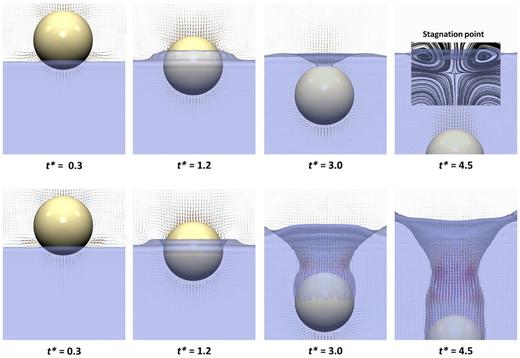 FIG. 7. Snapshots of simulations of the entry of a projectile into water.