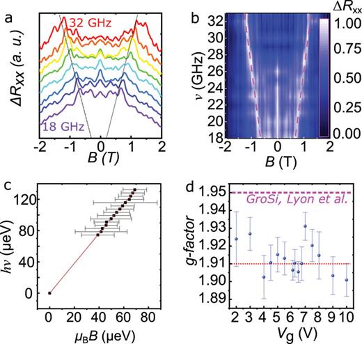 FIG. 3. (a) Magneto-transport of the device between contacts B and C under microwave radiation at Vg = 6.1 V. Plotted is ΔRxx, as the difference in magneto-resistance with and without continuous microwave radiation. The ESR signal is clearly discernible, dispersing linearly (dotted lines) with frequency from 18 to 32 GHz. (b) Color-scale plot of the detailed frequency dependence. The plots are normalized for clarity. The resonance is marked with magenta dashed lines. (c) Analysis of all ESR data for Vg = 6.1 V revealing spin resonance (fits are anchored at zero). (d) Extracted g-factor of all ESR data over the gate voltage range of interest next to the CNP. The average value is marked with the red dashed line, and the measured value for graphene on SiO2 from Ref. 29 is marked with the magenta dashed line (see text for details).