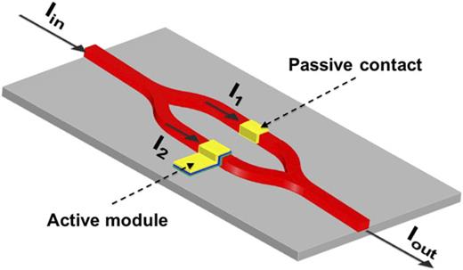 FIG. 1. Perspective view of the Mach–Zehnder interferometric modulator with the active biasing contacts and passive metallic contact for the field loss balancing.