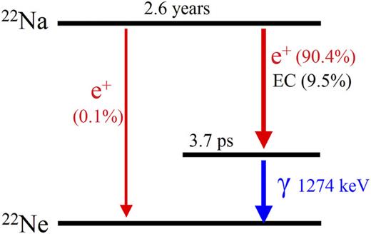 FIG. 3. Decay scheme for 22Na. EC = electron capture, e+ = positron, and γ = gamma photon.