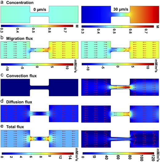 Computational analysis of copper electrodeposition into a porous ...