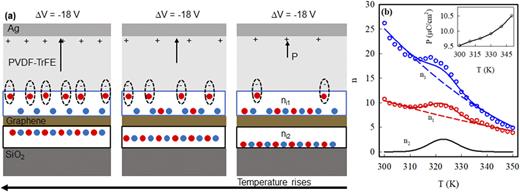 FIG. 4. (a) Schematic model of impurity charges at the graphene/polymer (ni1) and graphene/SiO2 (ni2) interfaces for arbitrary fixed ΔV = −18 V. Red (Blue) dots represent positive (negative) impurity charges, and P is the polymer polarization. P increases with increasing temperature and so does the bound surface density. The dotted oval shows charge compensation of the impurity charge by the bound surface charge in the polymer. (b) Carrier concentration (n) vs temperature for ΔV = −6 V (red) and −40 V (blue). The dashed lines represent carrier concentration n1 due to doping by ni1, and the Gaussian curve (black) represents carrier concentration n2 due to doping by ni2, which is independent of ΔV. Inset: PVDF-TrFE saturated polarization as a function of temperature measured in a PVDF-TrFE capacitor.12