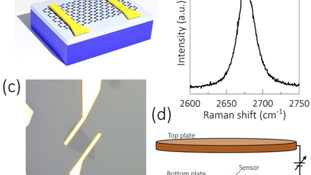 Graphene electric field sensor for large scale lightning detection ...