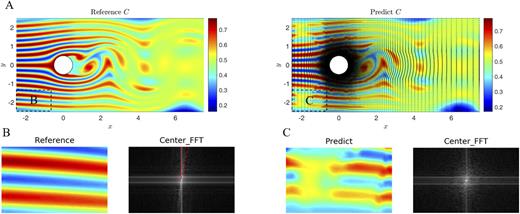 FIG. 13. (a): Left: Reference concentration field under the Neumann boundary condition; Right: Superposition of the concentration diagram predicted by the GAFM and the grid node distribution diagram of field data under Newman boundary conditions; (b): Left: Reference concentration field in the bottom-left corner of the flow domain under the Neumann boundary condition; Right: Center-transformed Fourier frequency spectrum of the reference concentration field in the bottom-left corner of the flow domain under the Neumann boundary condition; (c): Left: GAFM-predicted concentration field in the bottom-left corner of the flow domain under the Neumann boundary condition; Right: Center-transformed Fourier frequency spectrum of the GAFM-predicted concentration field in the bottom-left corner of the flow domain under the Neumann boundary condition.