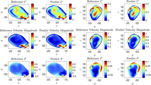 FIG. 16. Comparison of predictions yielded by the GAFM and true-value simulation results for 3D aneurysm blood flow. Left: Transverse cross-section; Right: Longitudinal cross-section.