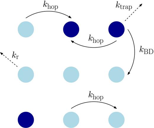 FIG. 1. Schematic picture of the 2D lattice considered in this work. Light blue circles represent bright states and dark blue circles represent dark states. Arrows represent possible hopping and relaxation rates.