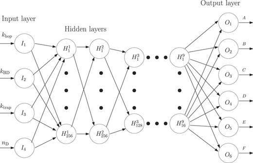 FIG. 2. Schematic illustration of the NN architecture used to predict the excitation dynamics of a 2D lattice system. The lattice model parameters are used as the input, while the output corresponds to the coefficients of the fitting function.