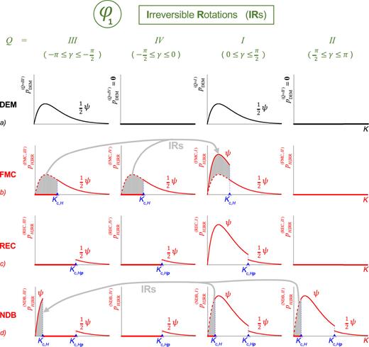 For a given φ = φ1, and with a postulated ψ(K, φ1), the evolution of the pdfs (see the left part of Fig. 2) is described for the four Q quadrants [see Fig. 1(d)]. As H drives the system along the branch sequence of Fig. 1(c), the pDEM(Q) [Eq. (6)] describing the demagnetized state (DEM) transforms into the pH,IRR(FMC,Q), pH,IRR(REC,Q), and pH,IRR(NDB,Q) as a response to the irreversible rotations (IRs) displayed by the gray arrows.