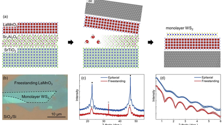 Magnetic proximity effect in ultrathin freestanding WS2/LaMnO3 van der ...