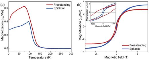 Magnetic proximity effect in ultrathin freestanding WS2/LaMnO3 van der ...