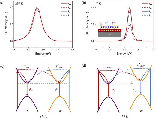 Magnetic proximity effect in ultrathin freestanding WS2/LaMnO3 van der ...