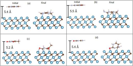 Optimized geometries of Ti3C2 with chemisorbed DNA nucleobases (a) A, (b) G, (c) T, and (d) C.