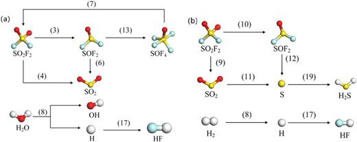Reaction path diagram of H2O and H2 systems. (a) H2O. (b) H2.