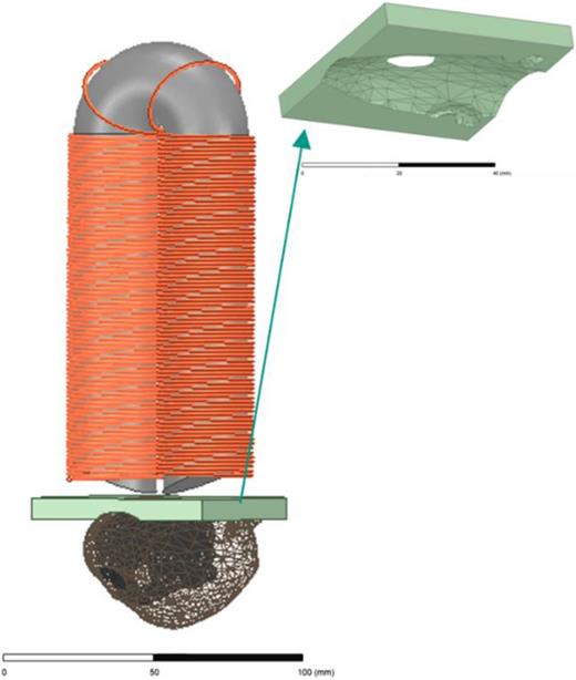 Customized PFC coil configuration and pyrolytic graphite diamagnetic plate with adetailed rat head mold.