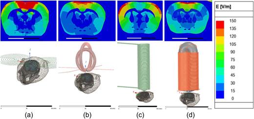 Simulation results of the studied coil configurations showing the induced e-field distribution in the rat’s cortical grey matter. a) figure of eight coil, b) Double C- shape coil, c) v-tip coil and d) the parabolic ferromagnetic core (PFC) coil with chamfered edges. Among these coil designs, the PFC coil produces a superior stimulation focality of the rat’s cortical grey matter.