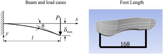 The length of a foot orthosis is determined by treating it as a cantilever beam.