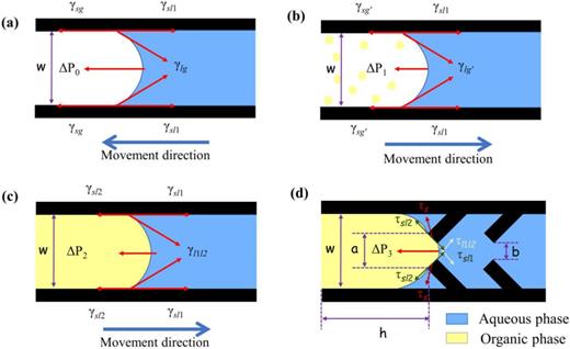 Precise control of liquid–liquid interface position and geometry in ...