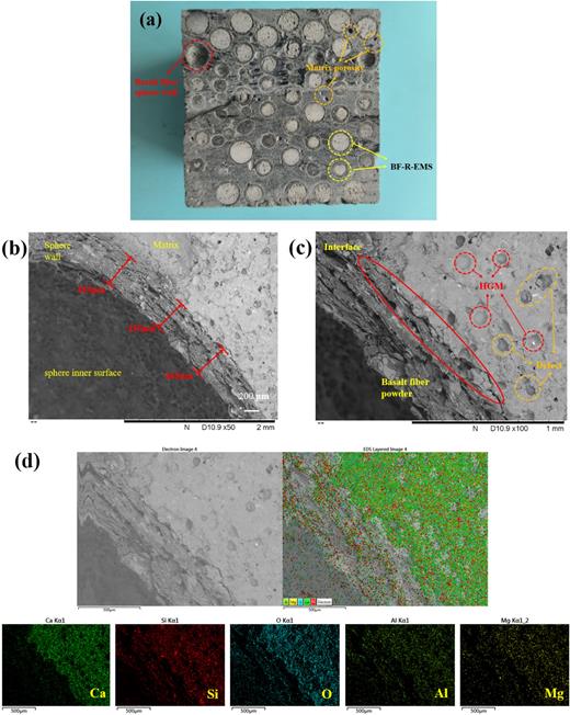 (a) SEM and energy spectra (500 µm scale) of cross sections (b)–(d) of lightweight concrete.