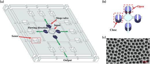 (a) Schematic illustration of the chip. It consists of four main domains: the liquid addition port located in the center area; a shut-valve located around the liquid dosing port; a sensor area located around the perimeter to detect four different foodborne pathogens; and a liquid flow outlet located at the edge. (b) Sketch of the shut-valve operation. (c) SEM (scanning electron microscopy, ZEISS GeminiSEM 560) image of the nanointerferometer chip.