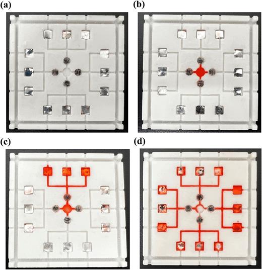 Demonstration of the liquid flow function of the testing platform. (a) Initial picture of the detection platform with the detection chip placed in the sensing area. (b) All four shut-valves are in operation, adding liquid to the liquid addition port. (c) Close one of the shut-valves, and the liquid flows toward the sensing area. (d) Close all shut-valves and fluid flows to the perimeter sensing area.