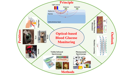 VIS/NIR/FIR spectroscopy for blood glucose monitoring: A review | AIP ...