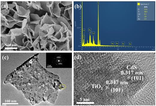 (a) FESEM image of TiO2/CdS-5; (b) its corresponding EDS spectrum; (c) TEM image and (inset) SAED pattern of TiO2/CdS-5; (d) high-resolution TEM image of TiO2/CdS-5.