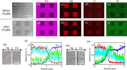 (a)–(j) Top-views of SEM images [(a) and (b)] and elemental mappings for Cu [(b) and (g)], Ag [(c) and (h)], C [(d) and (i)], and O [(e) and (j)] before and after CO2RR. (k)–(n) Top-views of SEM images around hetero-interface between Ag and Cu [(k) and (m)], and one-dimensional elemental distributions along the magenta lines [(l) and (n)] before and after CO2RR.