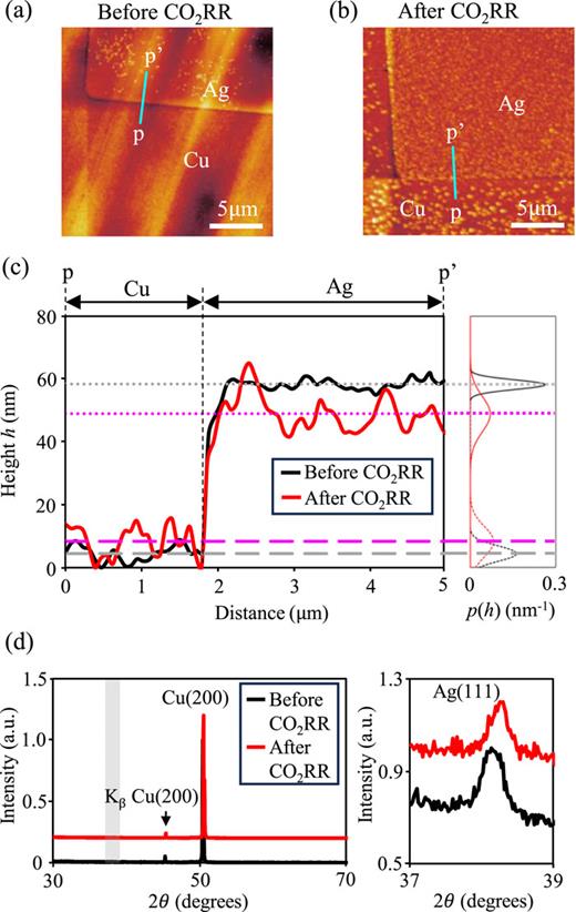 (a) and (b) AFM images before (a) and after (b) CO2RR. (c) One dimensional height profiles along the cyan line from p to p′ in (a) and (b), and probability density distributions p(h) of height h. The black (magenta)-broken and -dashed lines represent the average height of Cu and Ag surfaces before (after) CO2RR. (d) X-ray diffraction patterns of the micropatterned Cu–Ag catalyst before (black) and after (red) CO2RR. The left panel shows the spectra in a wide range of 2θ from 30° to 70°. The right panel indicates the enlarged spectra in the range of the gray shaded region in the left panel.