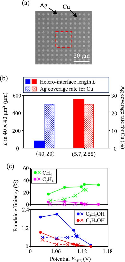 (a) Top-view SEM image of the periodic Ag pattern with (D, w) = (5.7 μm, 2.85 μm) on the Cu(100) substrate. The dashed red square represents the size of one Ag pattern of (D, w) = (40 μm, 20 μm), as shown in Figs. 2 and 4. (b) Total hetero-boundary length L in the area on 40 × 40 μm2 square (solid bars) and Ag coverage rate for Cu (shaded bars). The blue and red colored bars represent the patterned catalysts with (D, w) = (40 μm, 20 μm) and (5.7 μm, 2.85 μm), respectively. (c) Faradaic efficiencies of the pattered catalysts with (D, w) = (40 μm, 20 μm) (cross symbols) and (5.7 μm, 2.85 μm) (circle symbols). The green, magenta, blue, and red plots indicate Faradic efficiencies for CH4, C2H4, C2H5OH, and C3H7OH, respectively.