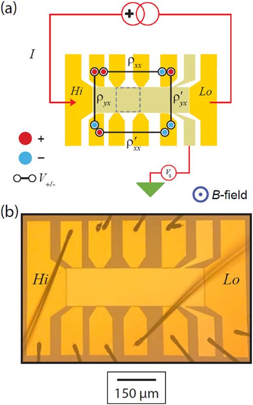 (a) An illustration of the device design is shown, with a basic layout of the measurement configuration. Resistance is measured between longitudinal (ρxx) and Hall contact pairs (ρyx). The gray dotted square highlights the equal spacing between longitudinal and Hall contact pairs, with the device having a width of 150 μm. Magnetic field direction is also provided by the indicator in the lower right corner. (b) An optical image of the device is provided along with a scale bar.