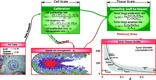 Dynamic density functional theory of solid tumor growth: Preliminary ...
