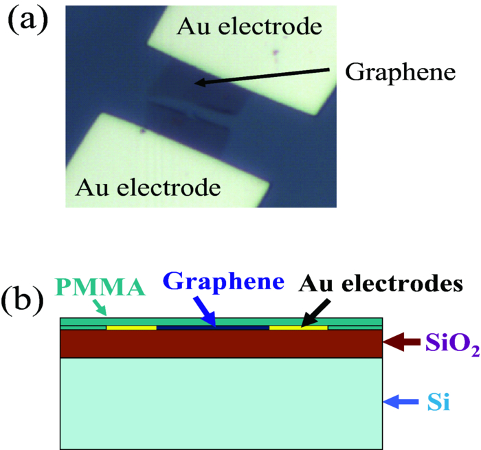 Raman spectra of bilayer graphene covered with Poly(methyl methacrylate ...