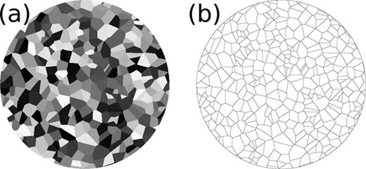 FIG. 19. Example of a Voronoi tessellation with average 100 nm grains in a 2048 μm wide disk. Left: cells colored by their region index (0–256). Right: boundaries between the grains visualized by reducing the exchange coupling between them (Eq. (9)), and outputting MuMax3 ’s ExchCoupling quantity, the average Msat/Aex around each cell. 