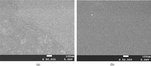 FIG. 2. Scanning electronic microscopy images of surface morphology of LiTaO3 crystal slice, (a) before oxidizing solution etching, (b) after solution etching.