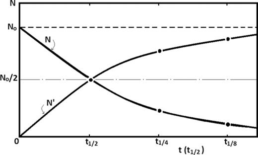 FIG. 4. The N = N(t) and N′ = N′(t) drawing is presented.