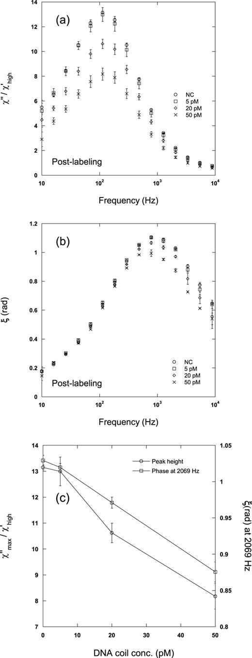 FIG. 2. Comparison of two methods used for obtaining dose-response curves from frequency-dependent magnetic susceptibility data (χ = χ′ − iχ″). The data correspond to post-labeling of DNA coils, using nanobeads with detection probe 1, a 60 min at 37°C RCA step followed by addition of beads and incubation for 20 min at 55°C prior to magnetic read-out. (a) χ″ spectra for different DNA coil concentrations normalized with respect to χ high ′ , the frequency independent high frequency limit of χ′. (b) Phase angle, ξ, spectra for different DNA coil concentrations where ξ = arctan χ ″ / χ ′ . (c) Dose-response curves, viz. χ max ″ / χ high ′ (left y-axis) and ξ taken at 2069 Hz (right y-axis) vs. DNA coil concentration. Error bars represent one standard deviation based on three independent measurements. 