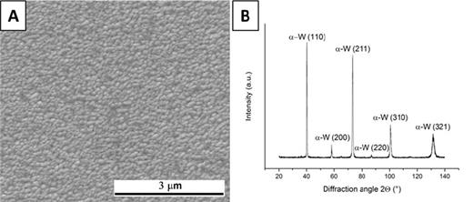 FIG. 2. Mo-W interlayer’s top surface: (a) SEM image; (b) XRD spectra. 