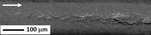 FIG. 4. SEM image of the start of delamination of diamond film within the scratch track using back scattered electrons imaging mode; white arrow shows the direction of sliding of WC ball. 