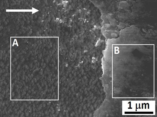 FIG. 5. SEM image of part of the scratch track; left – delaminated area; right – adherent area; rectangles A and B mark the areas of EDX scan; white arrow shows the direction of sliding of WC ball. 