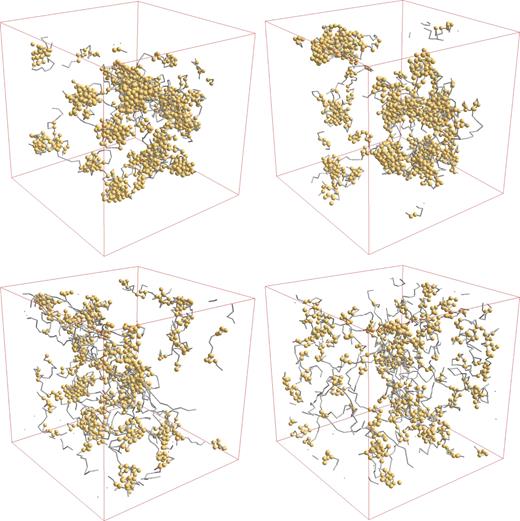 FIG. 3. Snapshots of the self-organized structures of 10 lysozyme chains at the temperatures T = 0.015 (top left), 0.017 (top right), 0.019 (bottom left), and 0.021 (bottom right) towards the end of 107 time steps in a 643 simulation box. Spheres represent the interacting residues within the range of interaction.