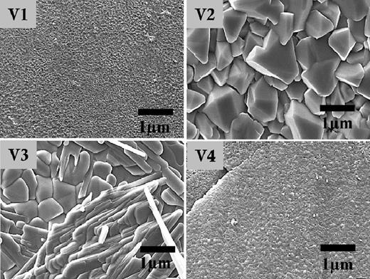 FIG. 4. SEM micrographs of vanadium metal strips oxidized at: 200 ˚ C (V1), 300 ˚ C (V2), 500 ˚ C (V3), and 600 ˚ C (V4). 