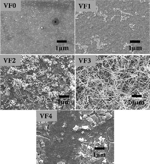 FIG. 5. SEM micrographs of vanadium pentoxide films deposited on glass/Si: (VF0) in O2-plasma 200 ˚ C (VF1), 300 ˚ C (VF2), 500 ˚ C (VF3), and 600 ˚ C (VF4). 